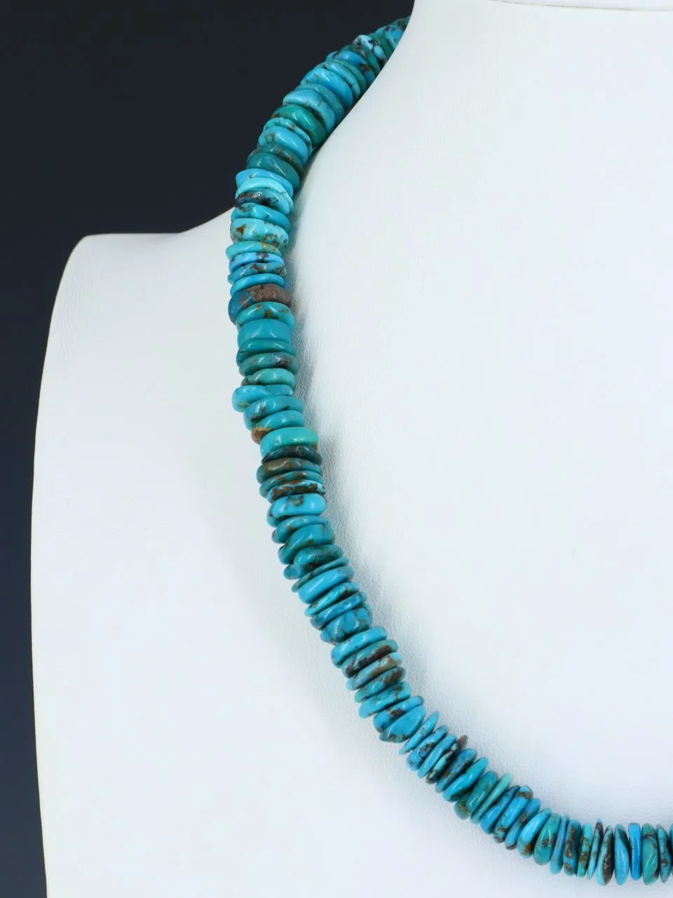 Single Strand Turquoise Disc Necklace